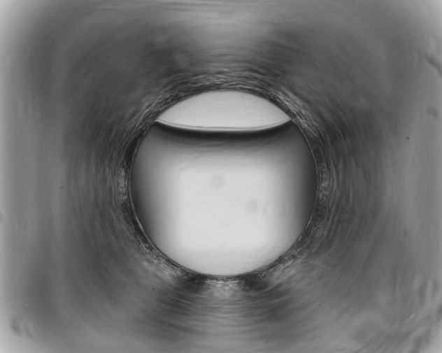 X0000096970469200802080927