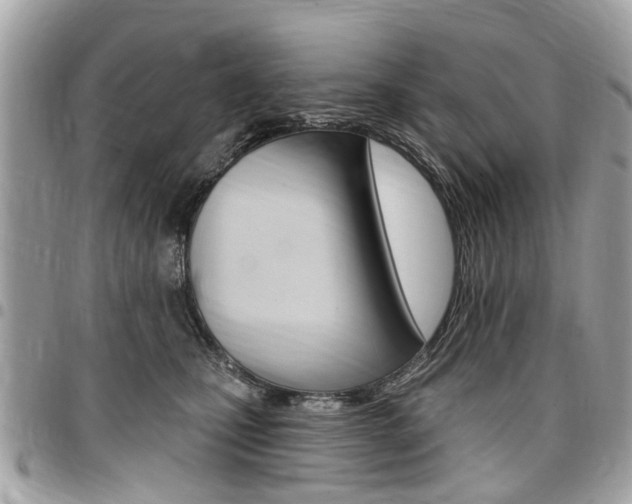 X0000096970471200802080927