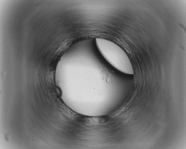 X0000096970473200802080927