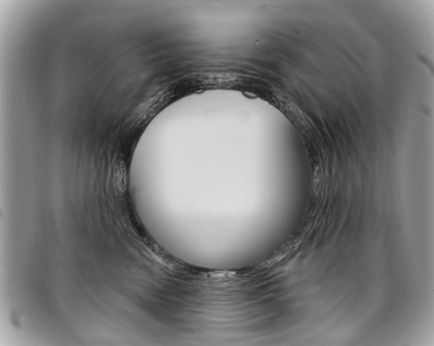 X0000096970474200802080927