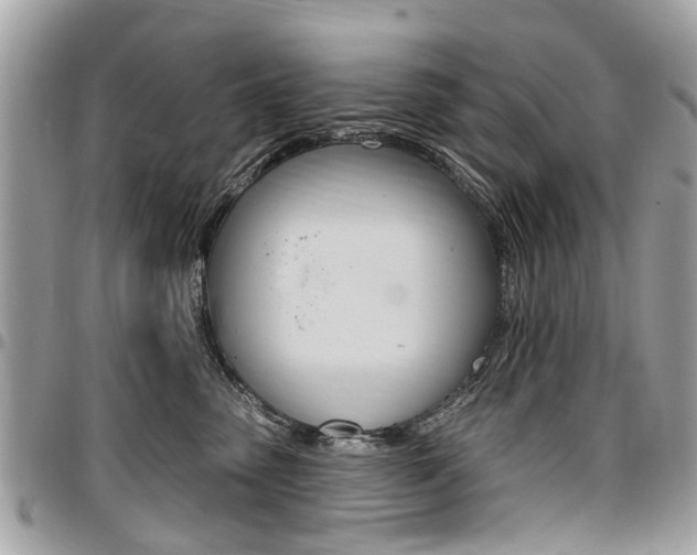 X0000096970475200802080927
