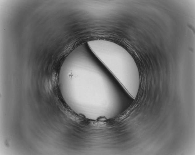X0000096970476200802080927