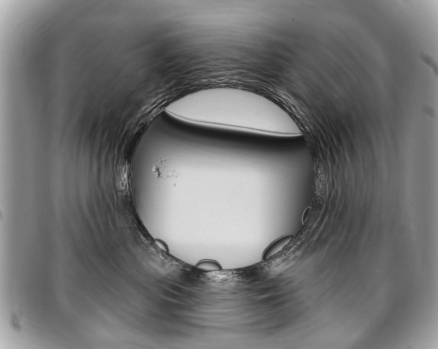 X0000096970477200802080927