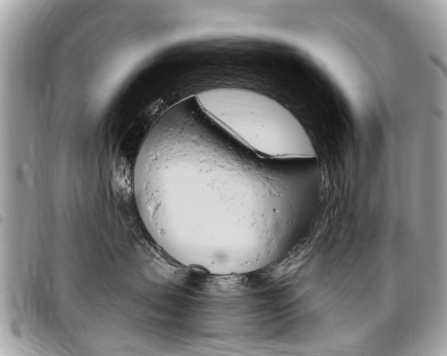 X0000096970479200802080927