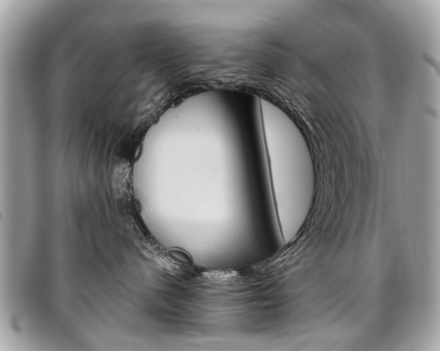 X0000096970480200802080927