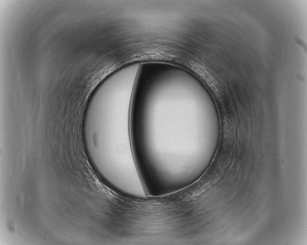X0000096970481200802080927
