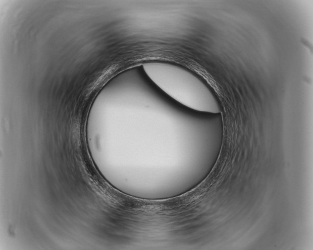 X0000096970482200802080927