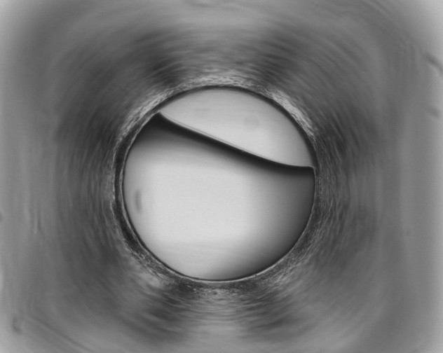 X0000096970486200802080927
