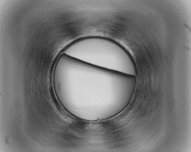 X0000096970487200802080927