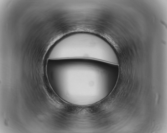 X0000096970488200802080926