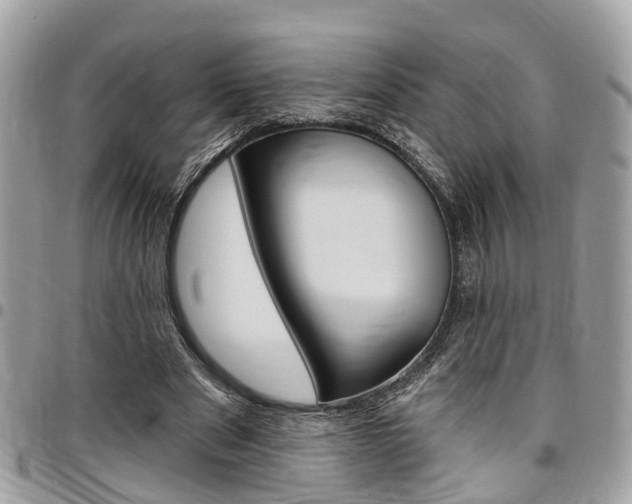 X0000096970489200802080926