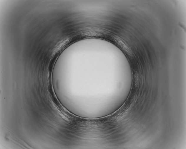 X0000096970490200802080926