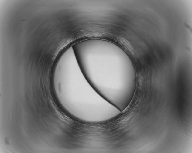 X0000096970491200802080926
