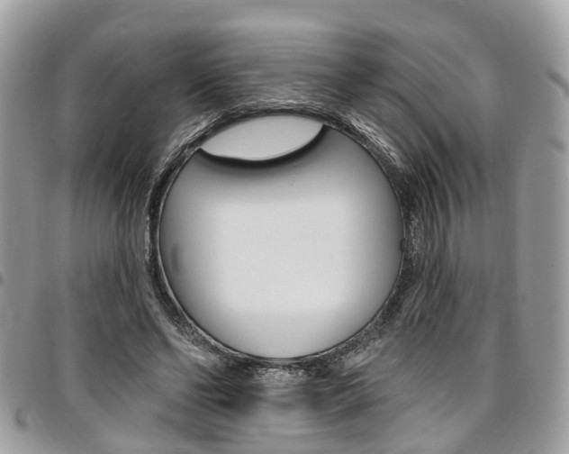 X0000096970494200802080926