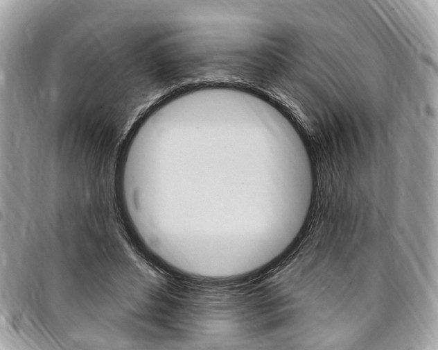 X0000096970496200802080926