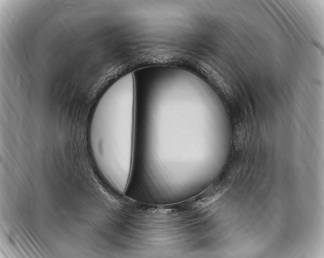 X0000096970497200802080926