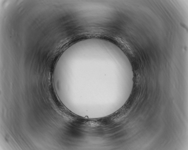 X0000096970498200802080926