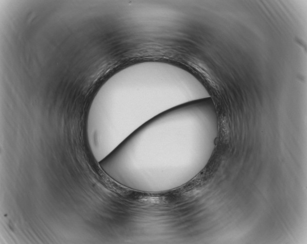 X0000096970499200802080926