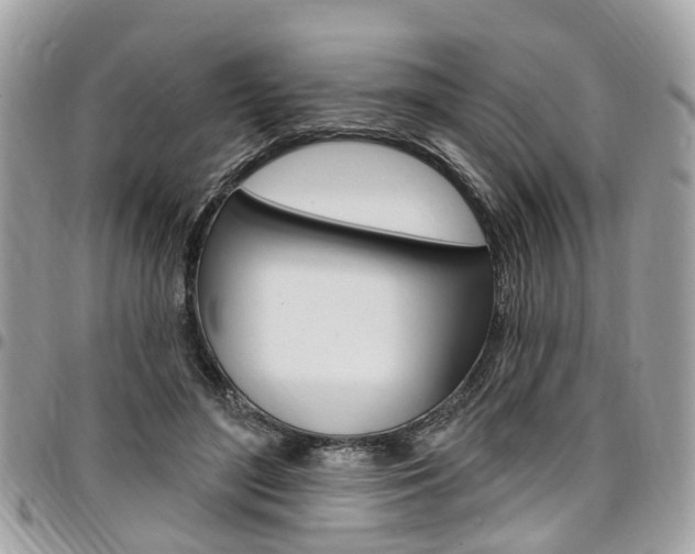 X0000096970500200802080926