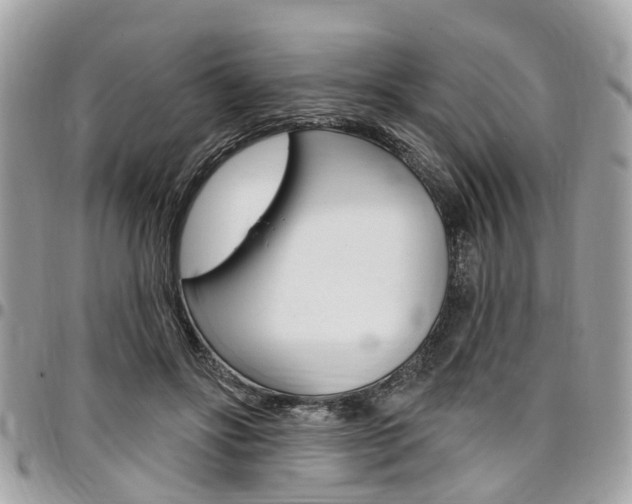 X0000096970502200802080926