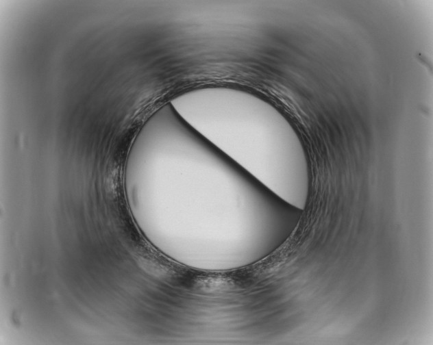 X0000096970503200802080926