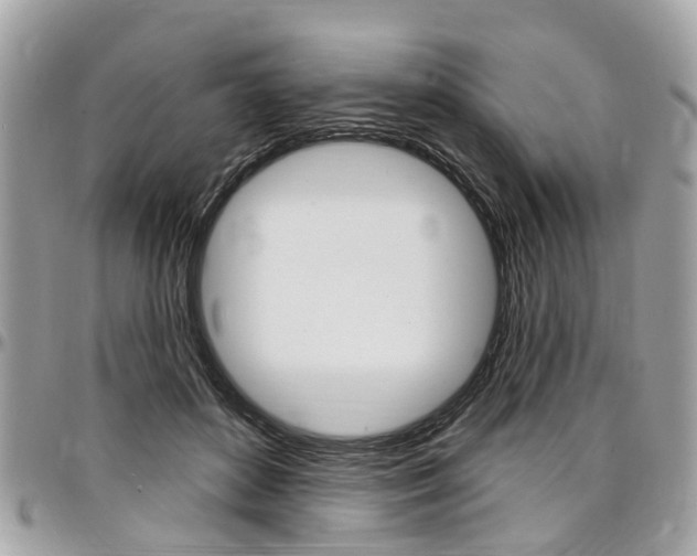 X0000096970504200802080926