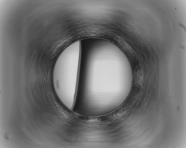 X0000096970505200802080926