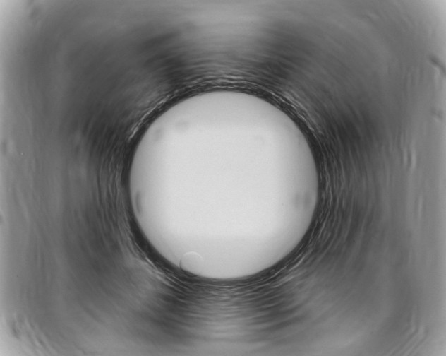 X0000096970508200802080926