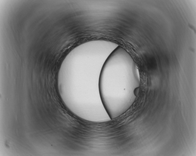 X0000096970511200802080926