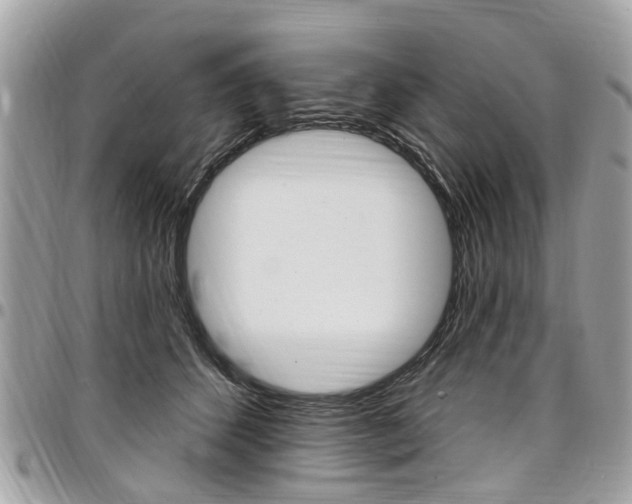 X0000096970512200802080926