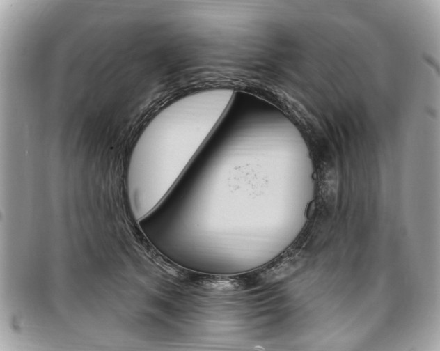 X0000096970513200802080926