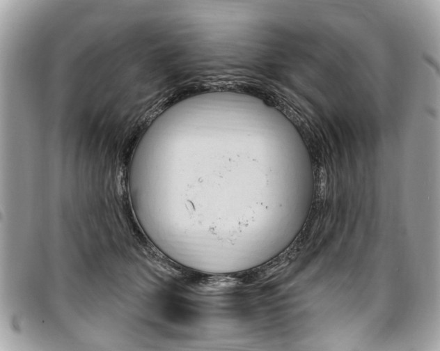 X0000096970514200802080926