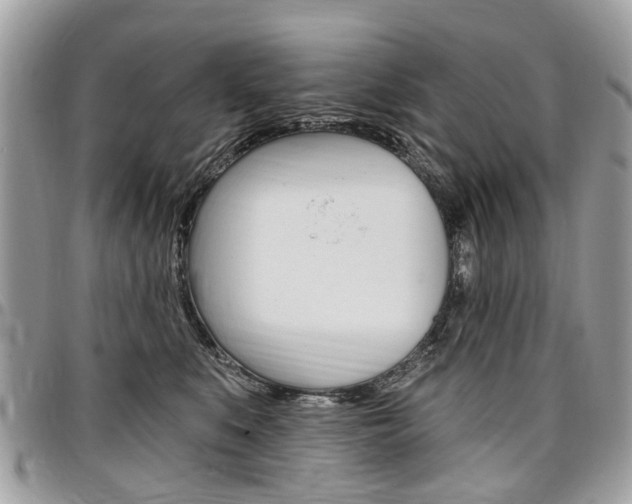 X0000096970519200802080926