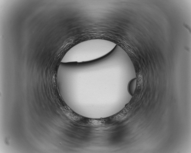 X0000096970522200802080926