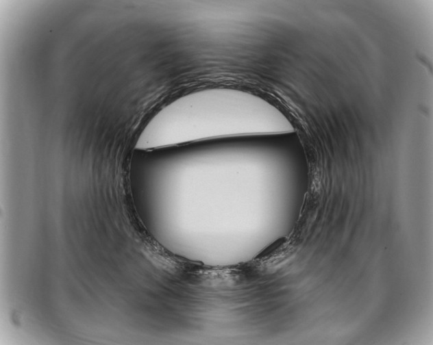 X0000096970524200802080926