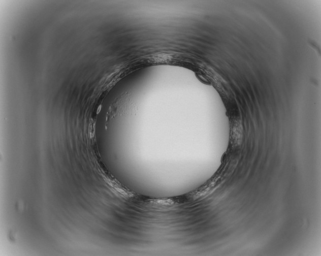 X0000096970525200802080926