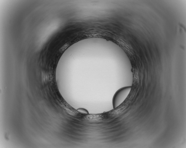 X0000096970526200802080926