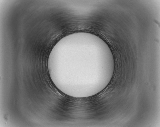 X0000096970528200802080926