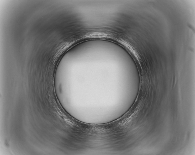 X0000096970529200802080925