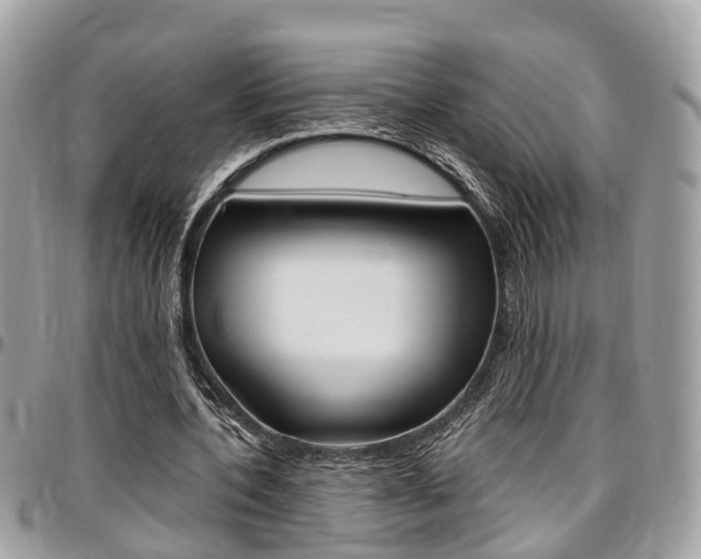 X0000096970532200802080925