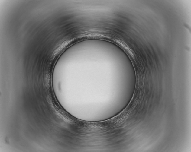 X0000096970533200802080925