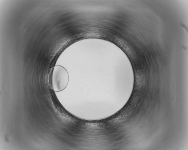 X0000096970534200802080925