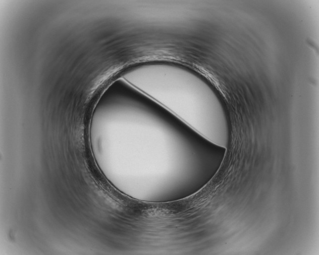 X0000096970535200802080925
