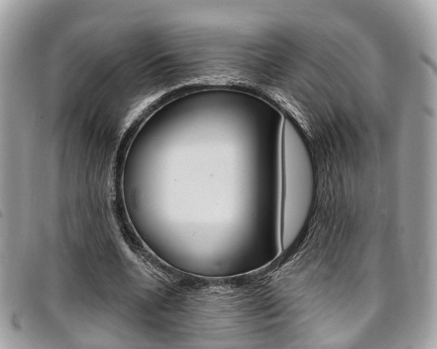 X0000096970536200802080925