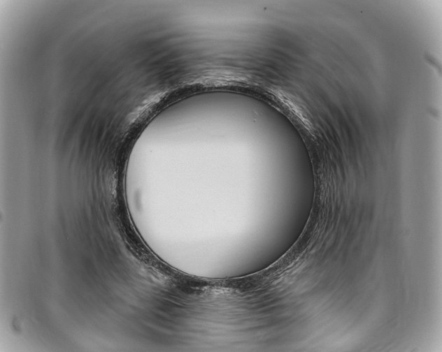 X0000096970539200802080925