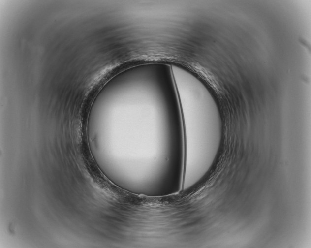X0000096970540200802080925