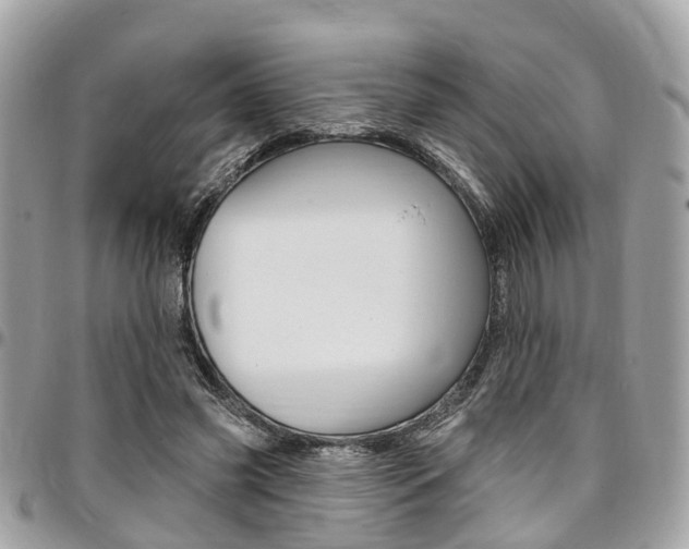 X0000096970541200802080925