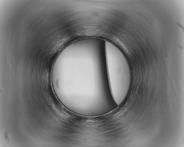 X0000096970542200802080925