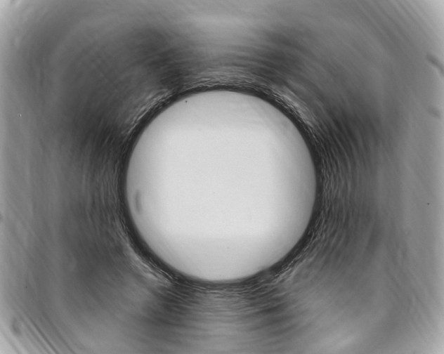 X0000096970546200802080925