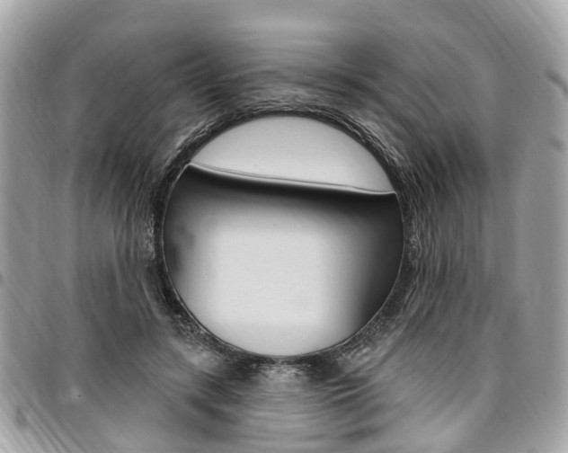 X0000096970547200802080925